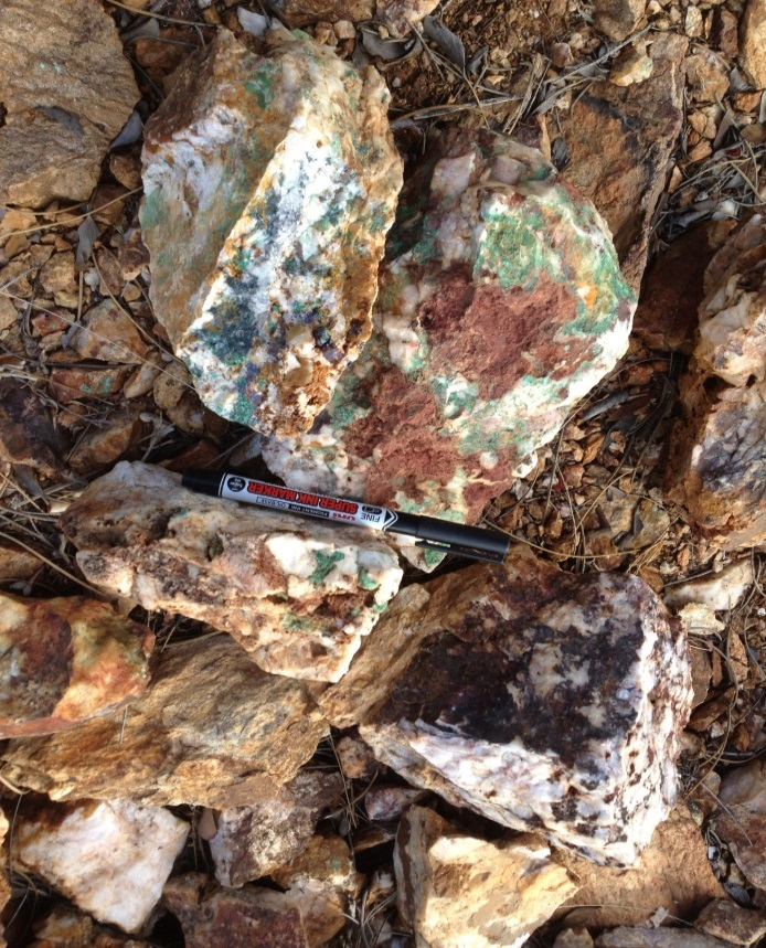 Winnecke Goldfield site