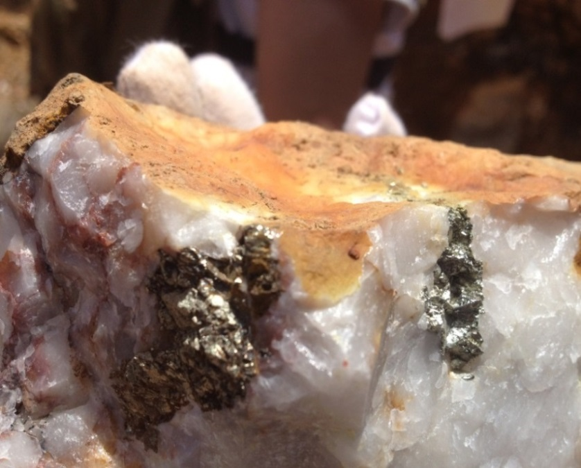 Winnecke Goldfield site